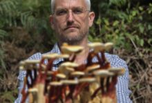Paul de Vulpian avec des champignons