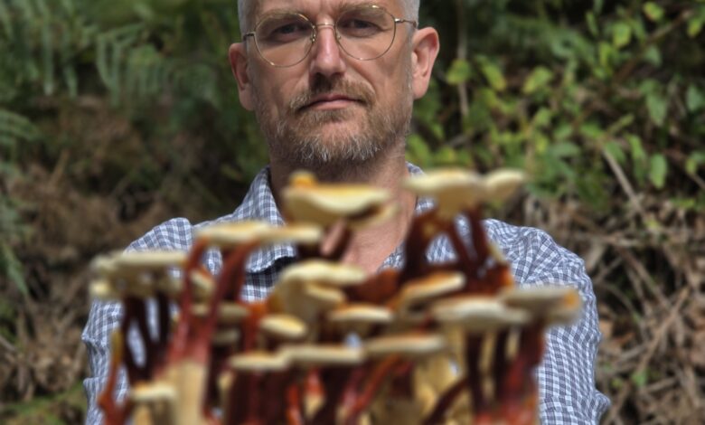 Paul de Vulpian avec des champignons